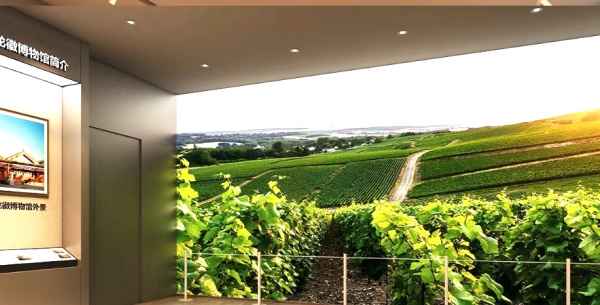 酒文化體驗(yàn)中心案例分享