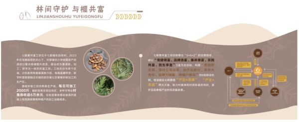 七都果共富工坊展廳設(shè)計