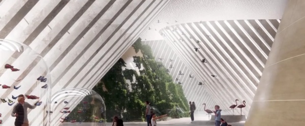 深圳自然博物館設(shè)計