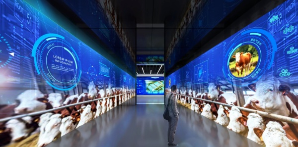肉牛產(chǎn)業(yè)展廳設(shè)計(jì)